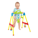 Multi-Functional Baby Play Gym & Activity Mat