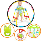 Multi-Functional Baby Play Gym & Activity Mat